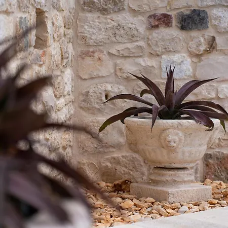 Vila Heritage Island Escape - Casa Bola- Boutique Retreat Donji Humac